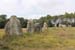 Series of upright Carnac stones in the field
