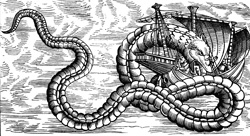 Olaus Magnus Sea Serpent