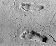 Acahualinca Footprints